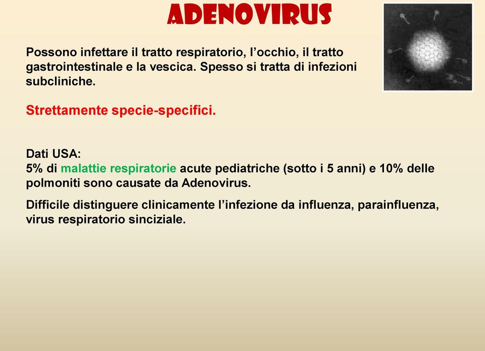 Dati USA: 5% di malattie respiratorie acute pediatriche (sotto i 5 anni) e 10% delle polmoniti sono