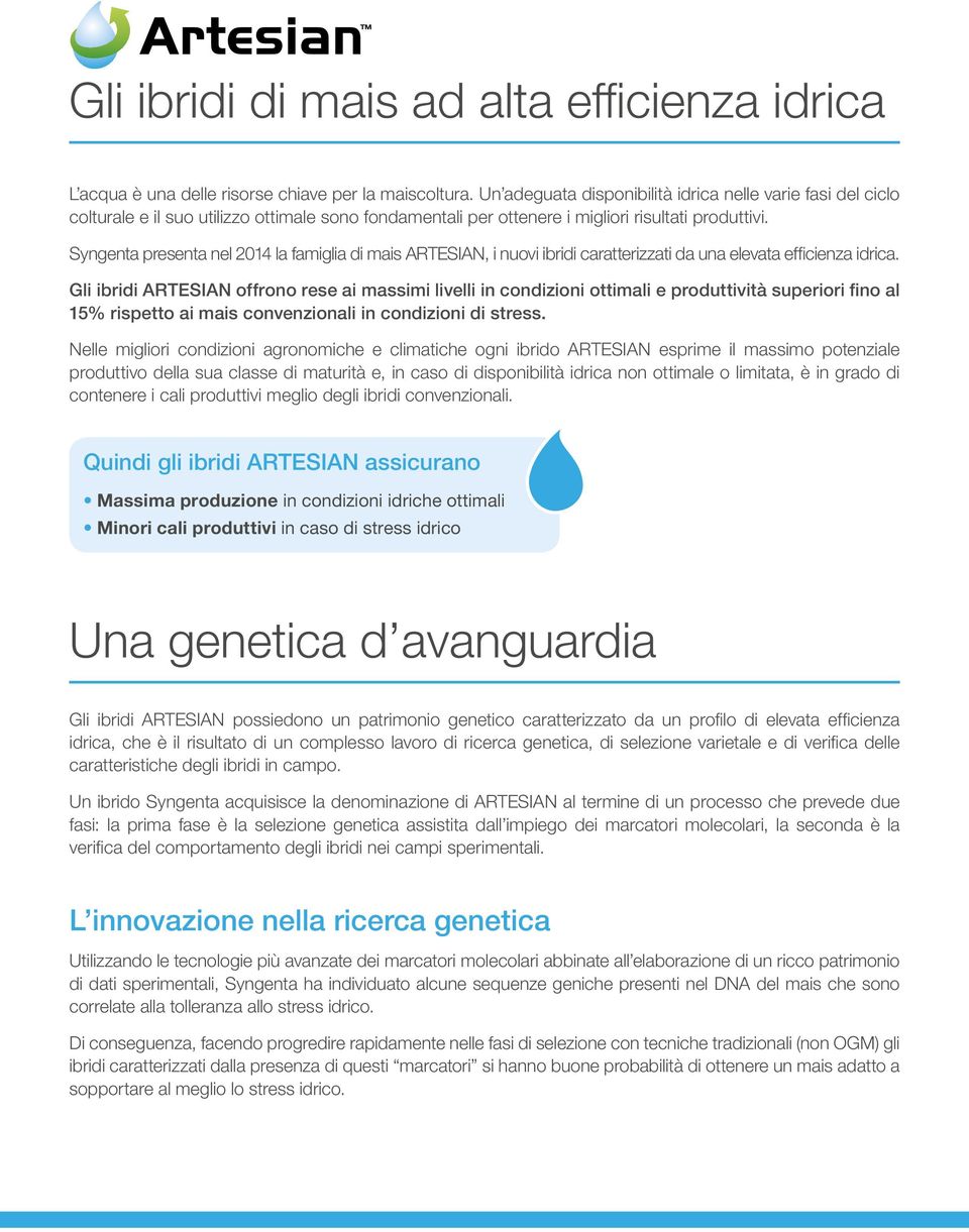 Syngenta presenta nel 2014 la famiglia di mais Artesian, i nuovi ibridi caratterizzati da una elevata efficienza idrica.