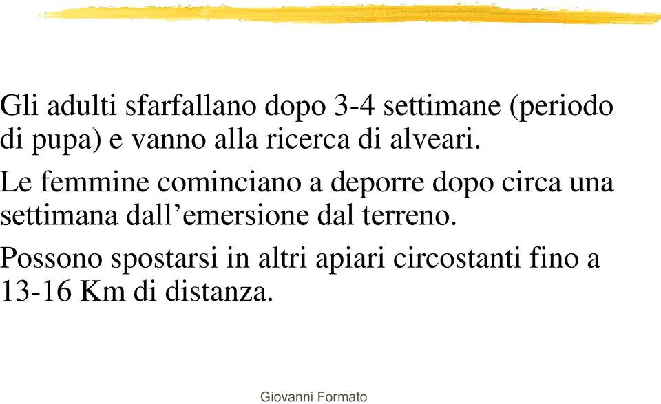 Le femmine cominciano a deporre dopo circa una settimana dall