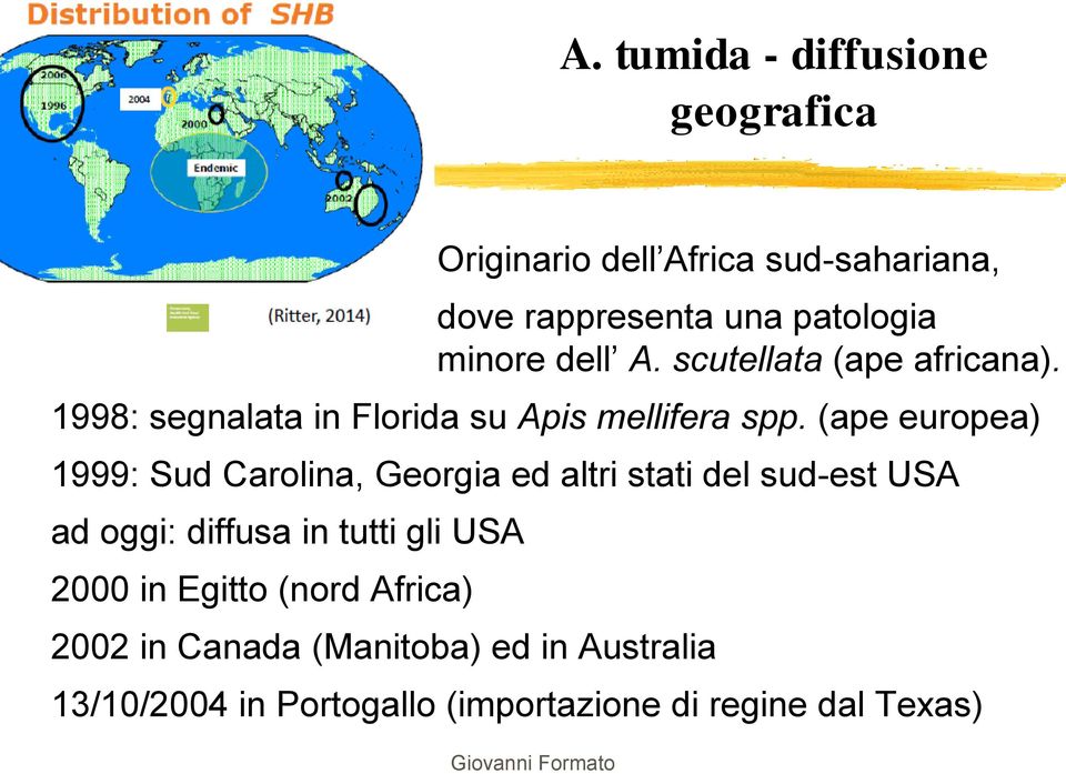 (ape europea) 1999: Sud Carolina, Georgia ed altri stati del sud-est USA ad oggi: diffusa in tutti gli USA