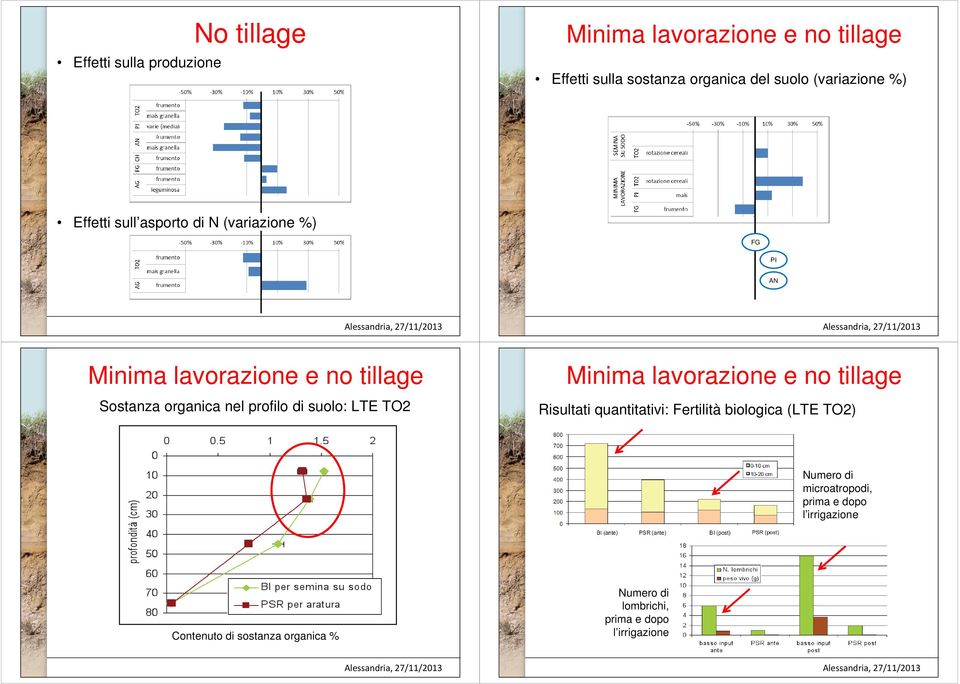 profilo di suolo: LTE TO2 Minima lavorazione e no tillage Risultati quantitativi: Fertilità biologica (LTE TO2) Numero