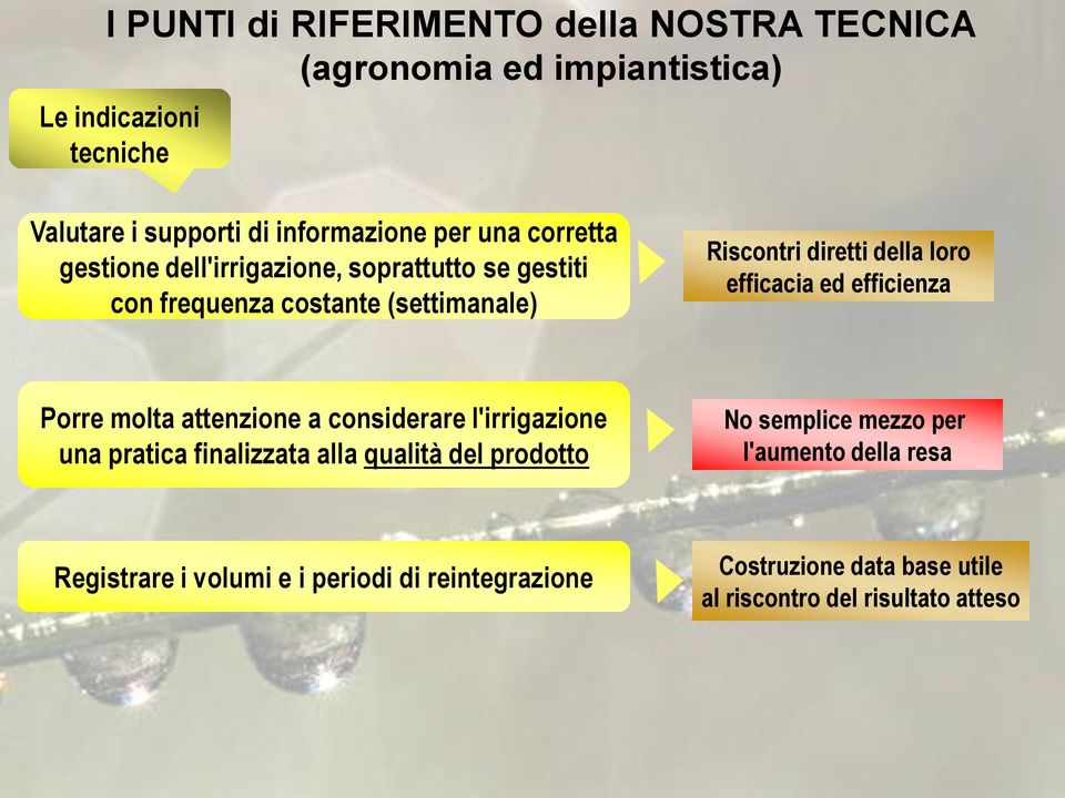 efficacia ed efficienza Porre molta attenzione a considerare l'irrigazione una pratica finalizzata alla qualità del prodotto No semplice