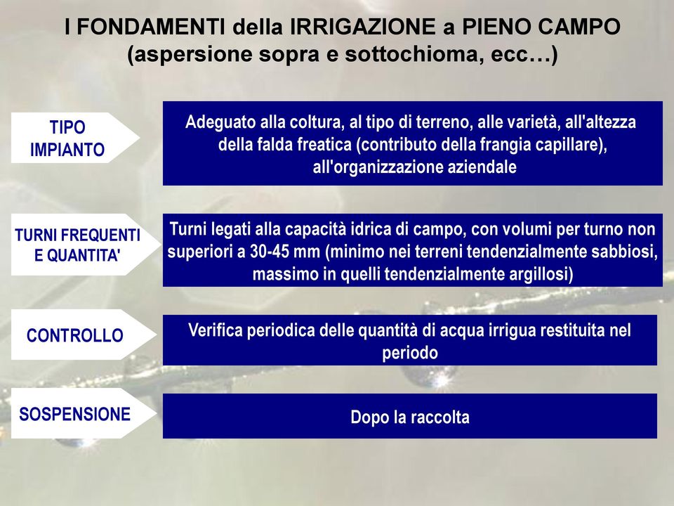 Turni legati alla capacità idrica di campo, con volumi per turno non superiori a 30-45 mm (minimo nei terreni tendenzialmente sabbiosi, massimo