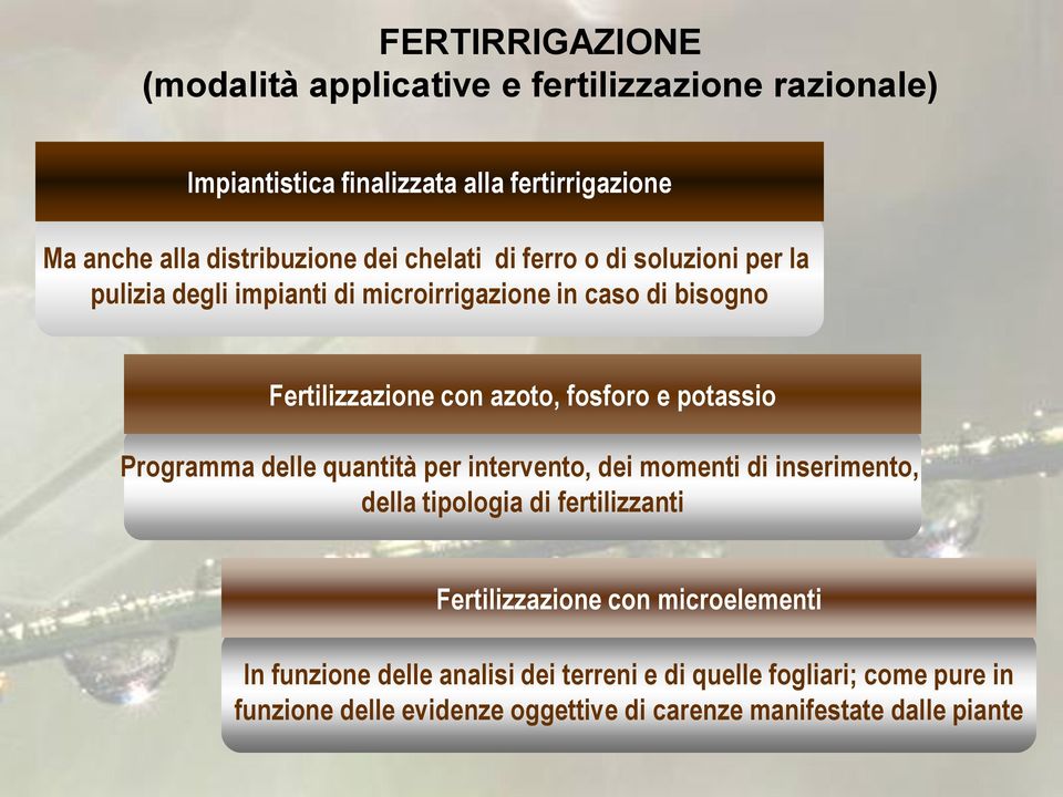 potassio Programma delle quantità per intervento, dei momenti di inserimento, della tipologia di fertilizzanti Fertilizzazione con