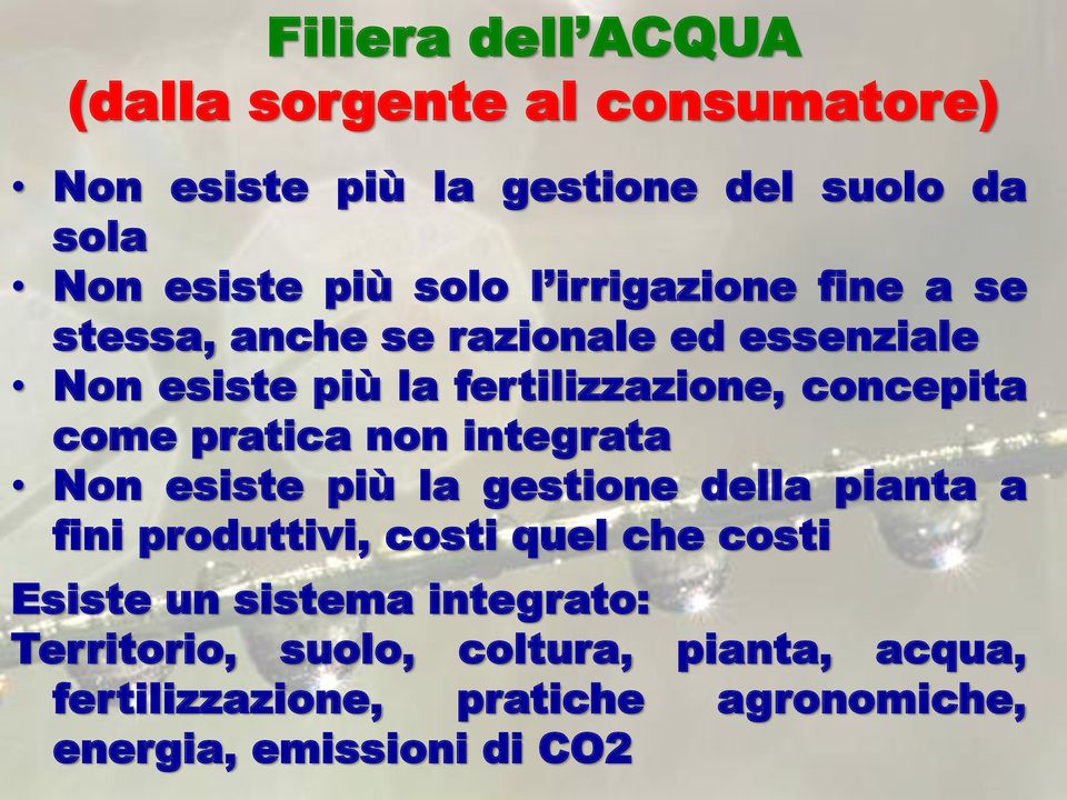 pratica non integrata Non esiste più la gestione della pianta a fini produttivi, costi quel che costi Esiste un