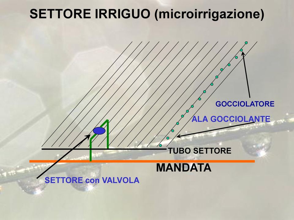 GOCCIOLATORE ALA