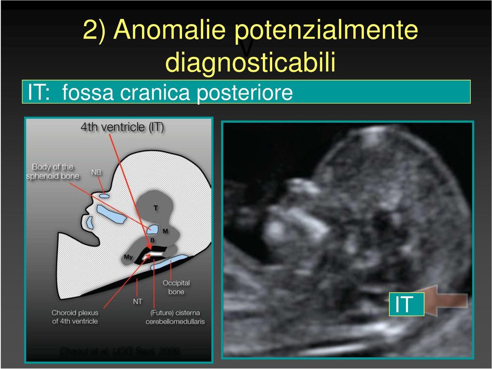 diagnosticabili