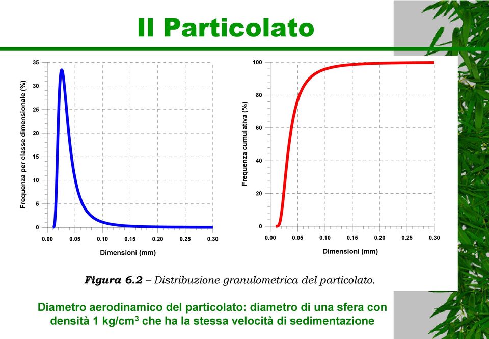 2 Distribuzione granulometrica del particolato.