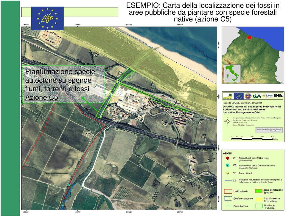 forestali native (azione C5) Piantumazione