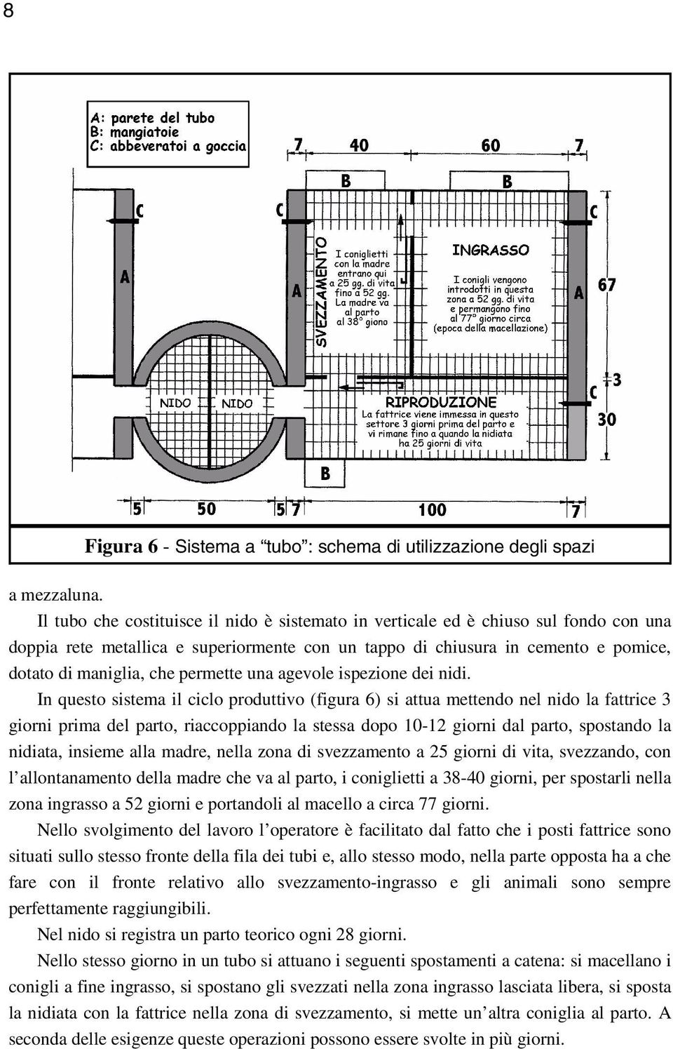 permette una agevole ispezione dei nidi.