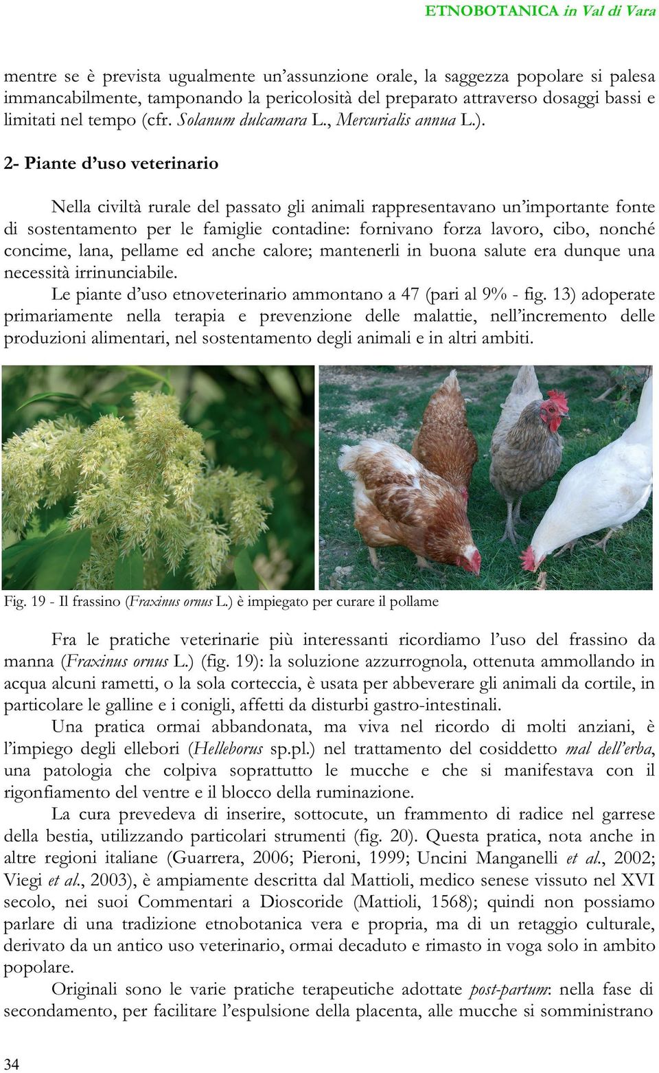 2- Piante d uso veterinario Nella civiltà rurale del passato gli animali rappresentavano un importante fonte di sostentamento per le famiglie contadine: fornivano forza lavoro, cibo, nonché concime,