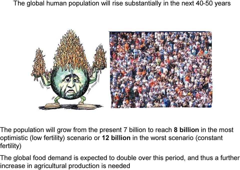 scenario or 12 billion in the worst scenario (constant fertility) The global food demand is