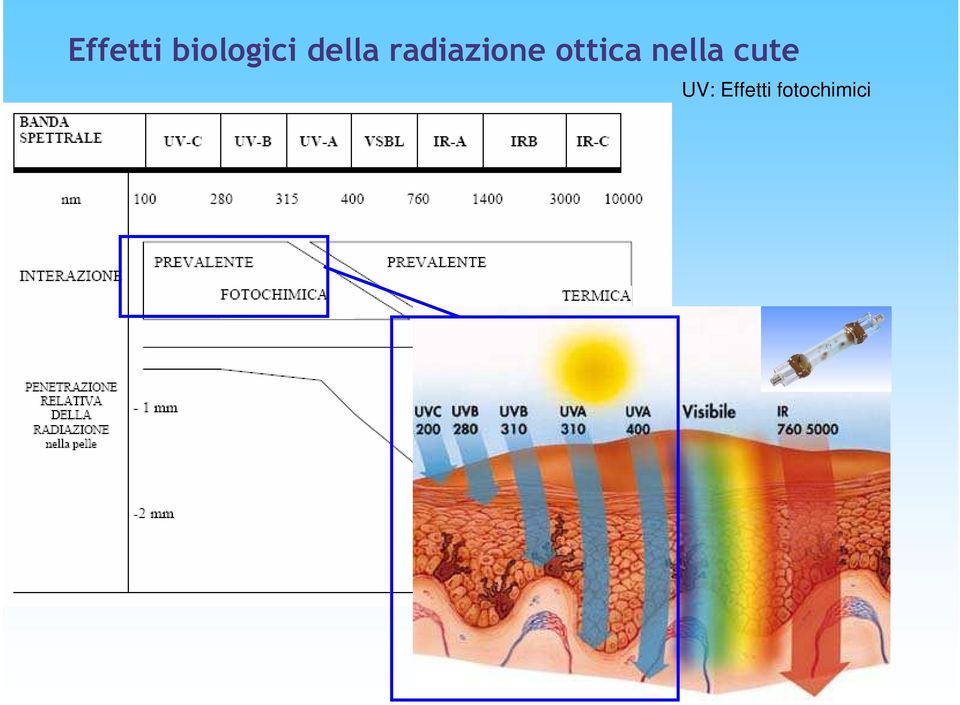 ottica nella cute