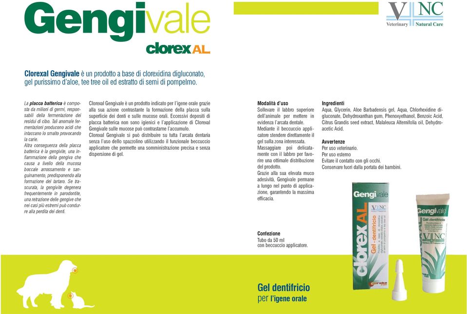 Altra conseguenza della placca batterica è la gengivite, una infiammazione della gengiva che causa a livello della mucosa boccale arrossamento e sanguinamento, predisponendo alla formazione del