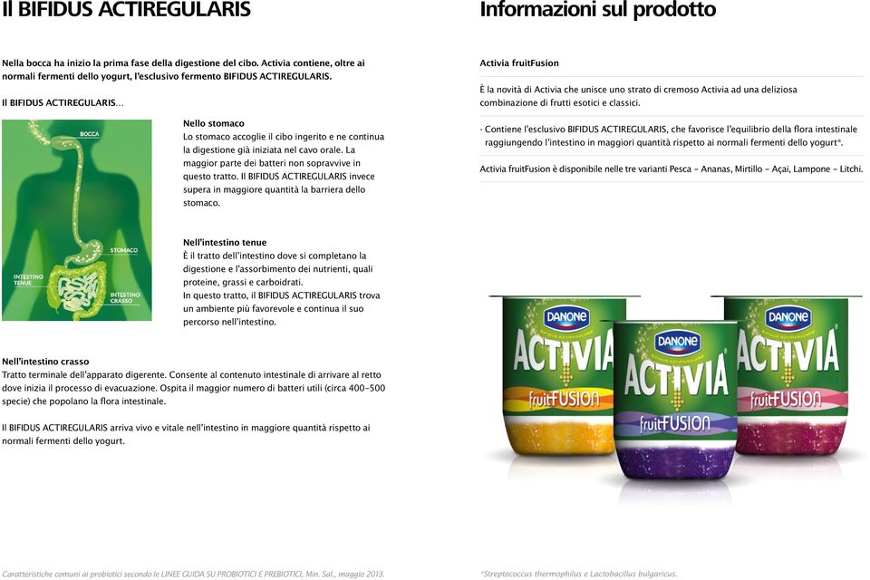 Il BIFIDUS ACTIREGULARIS Nello stomaco Lo stomaco accoglie il cibo ingerito e ne continua la digestione già iniziata nel cavo orale. La maggior parte dei batteri non sopravvive in questo tratto.