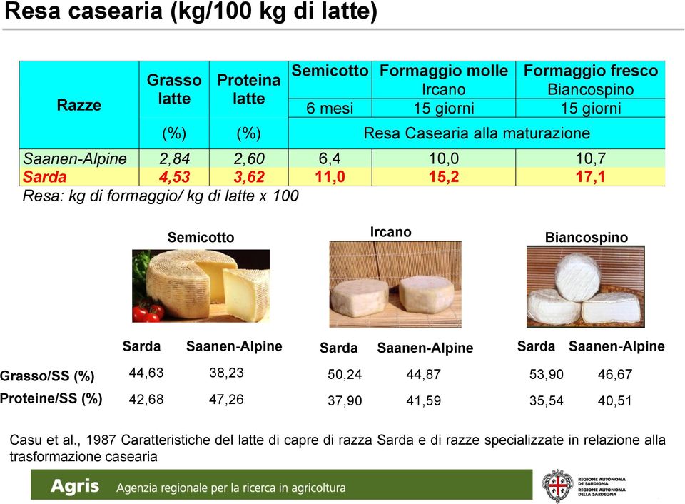 Semicotto Ircano Biancospino Sarda Saanen-Alpine Sarda Saanen-Alpine Sarda Saanen-Alpine Grasso/SS (%) Proteine/SS (%) 44,63 38,23 50,24 44,87 53,90 46,67