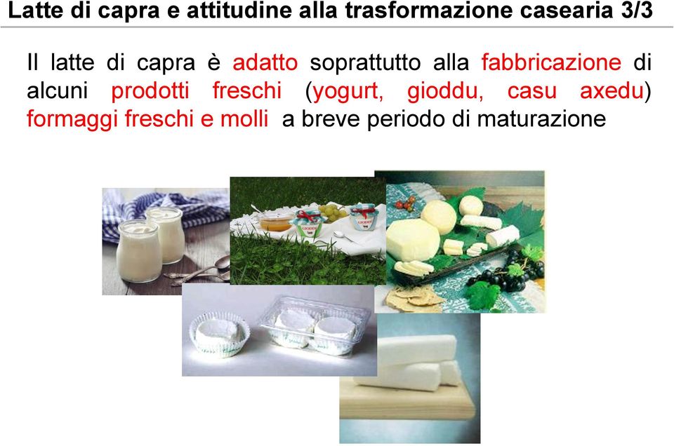 fabbricazione di alcuni prodotti freschi (yogurt, gioddu,