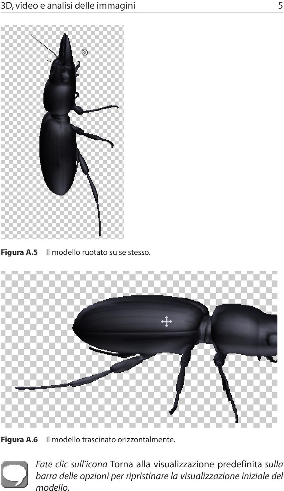 6 Il modello trascinato orizzontalmente.