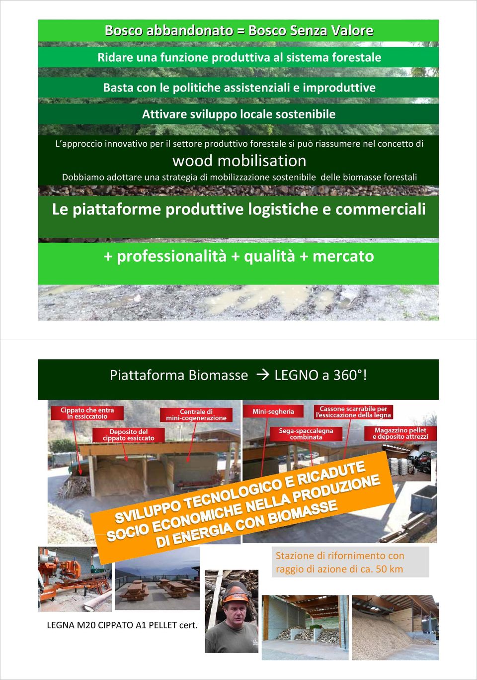 una strategia di mobilizzazione sostenibile delle biomasse forestali Le piattaforme produttive logistiche e commerciali + professionalità + qualità + mercato