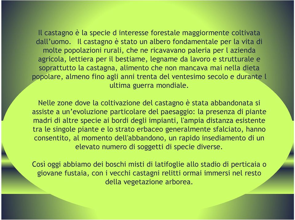 soprattutto la castagna, alimento che non mancava mai nella dieta popolare, almeno fino agli anni trenta del ventesimo secolo e durante l ultima guerra mondiale.