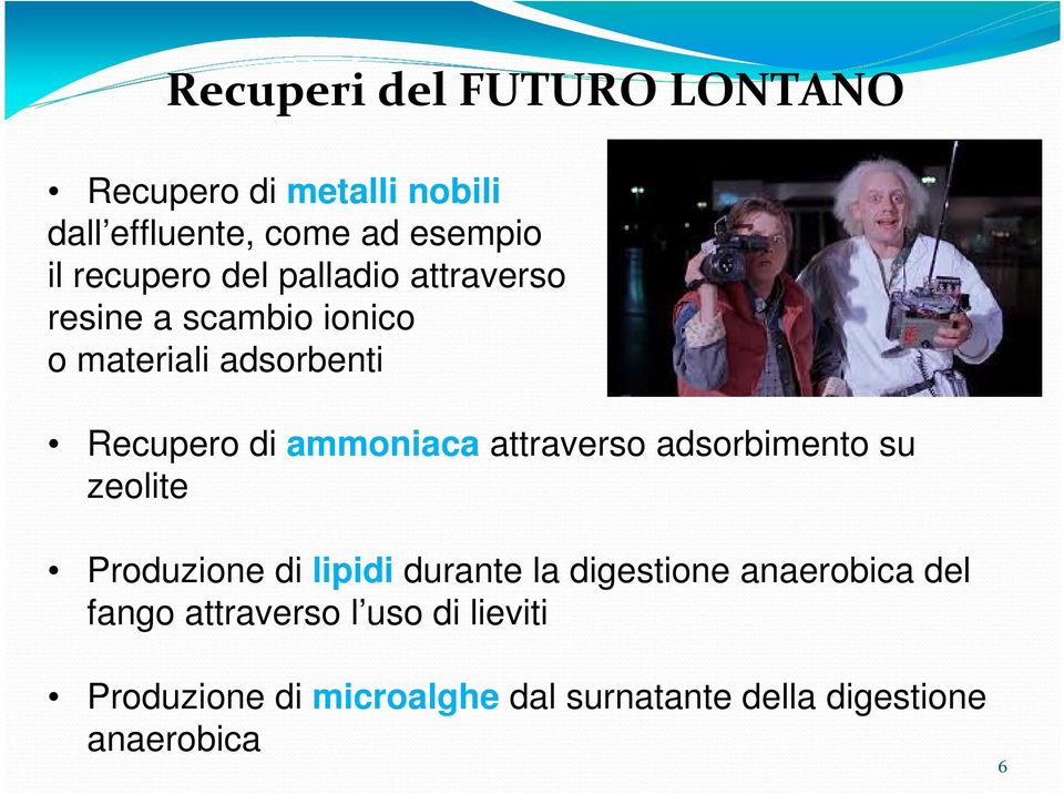 ammoniaca attraverso adsorbimento su zeolite Produzione di lipidi durante la digestione