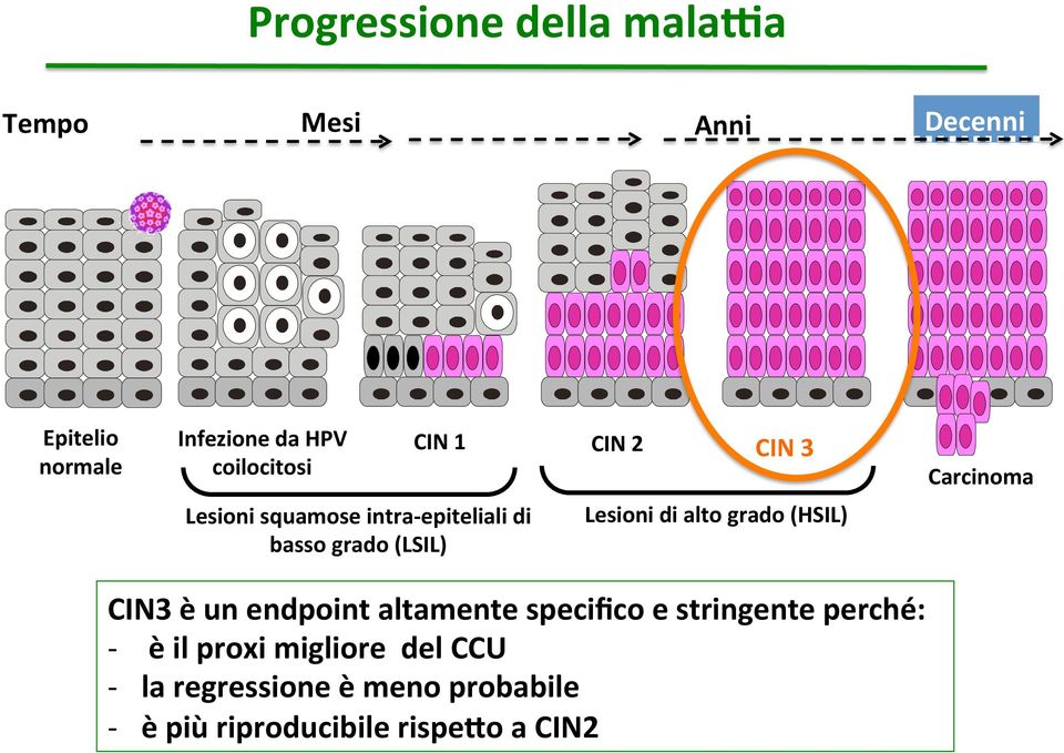 (LSIL) Lesioni di alto grado (HSIL) CIN3 è un endpoint altamente specifico e stringente