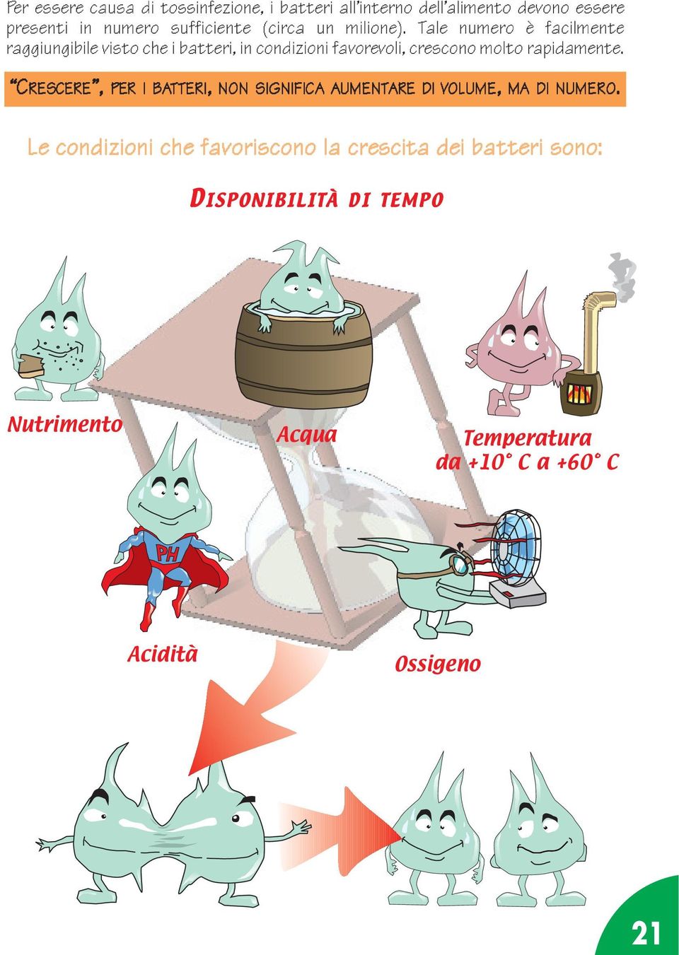 Tale numero è facilmente raggiungibile visto che i batteri, in condizioni favorevoli, crescono molto rapidamente.