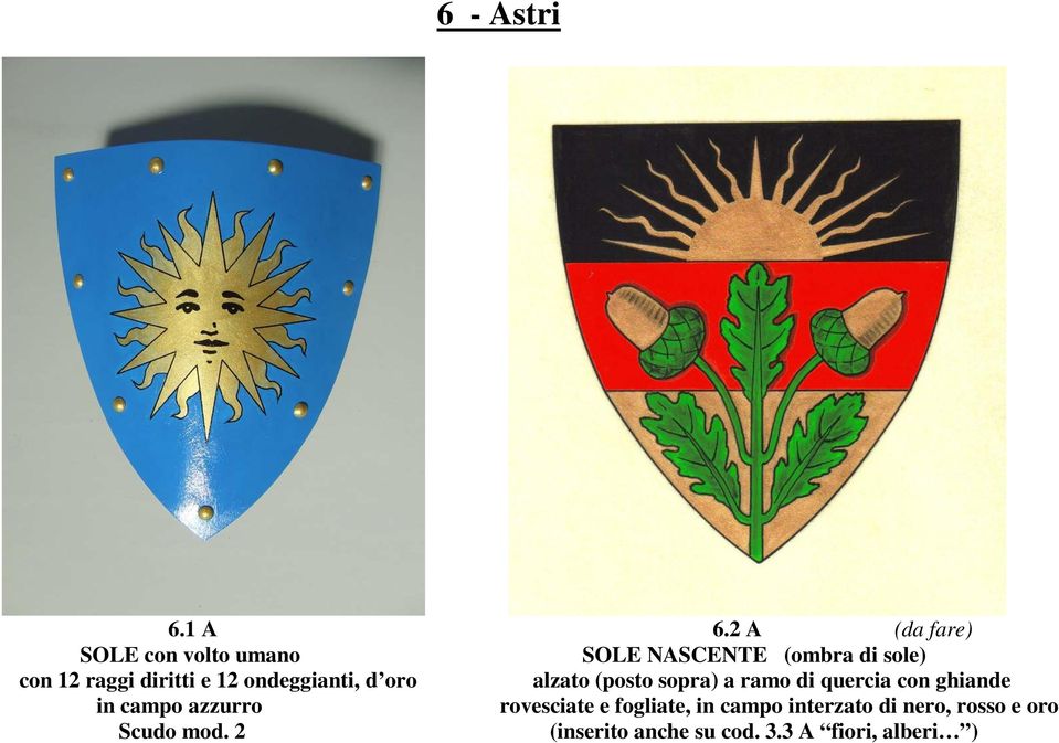 diritti e 12 ondeggianti, d oro alzato (posto sopra) a ramo di quercia con