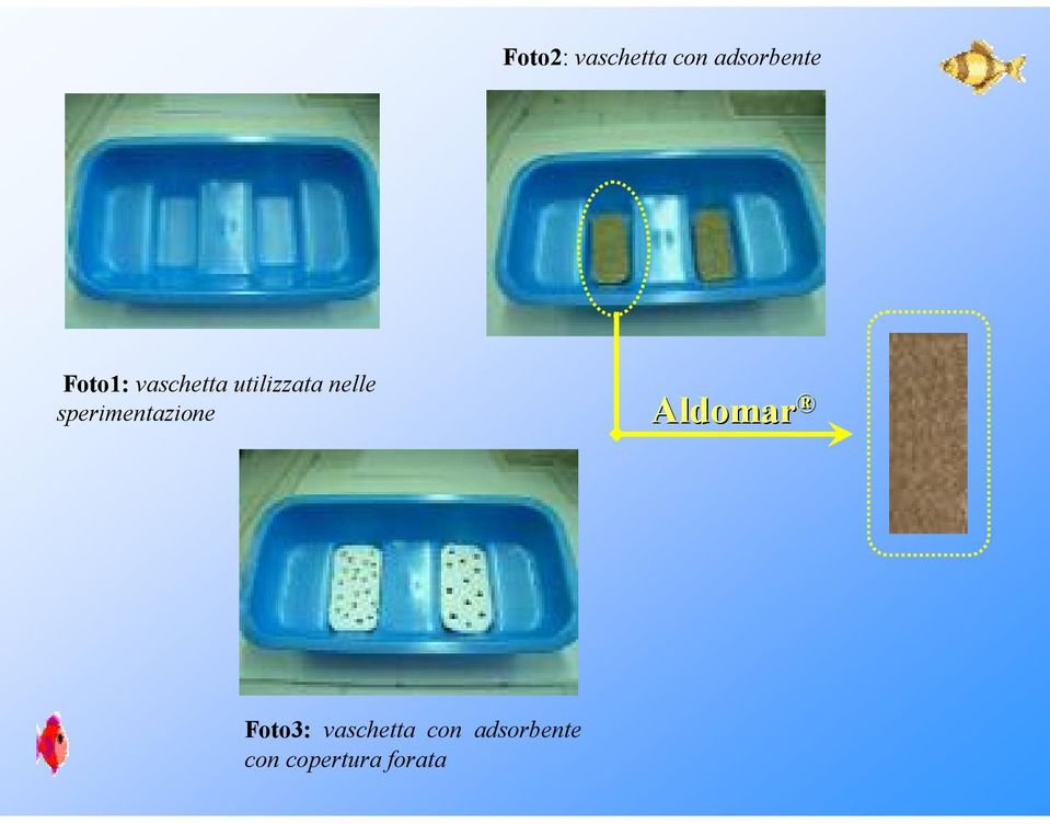 sperimentazione Aldomar Foto3: