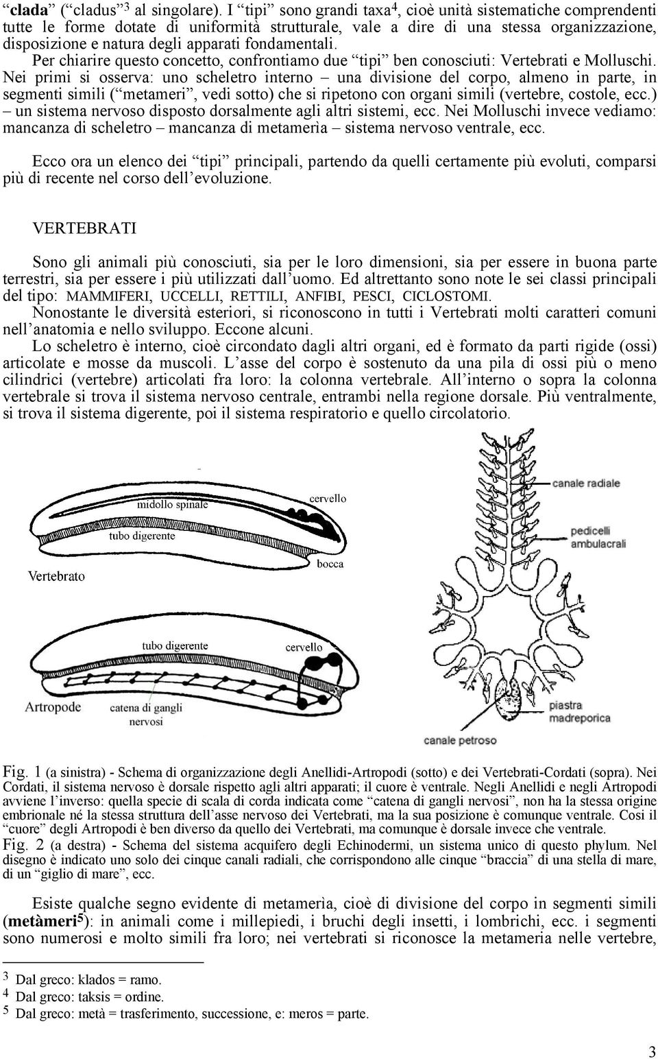 fondamentali. Per chiarire questo concetto, confrontiamo due tipi ben conosciuti: Vertebrati e Molluschi.