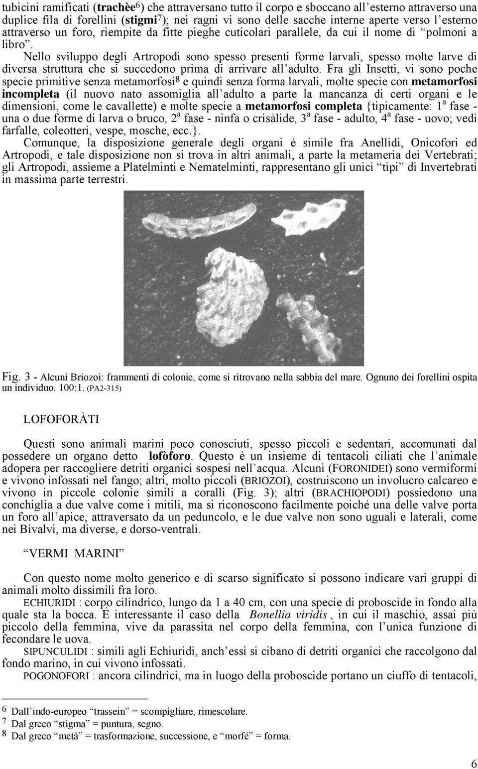 Nello sviluppo degli Artropodi sono spesso presenti forme larvali, spesso molte larve di diversa struttura che si succedono prima di arrivare all adulto.