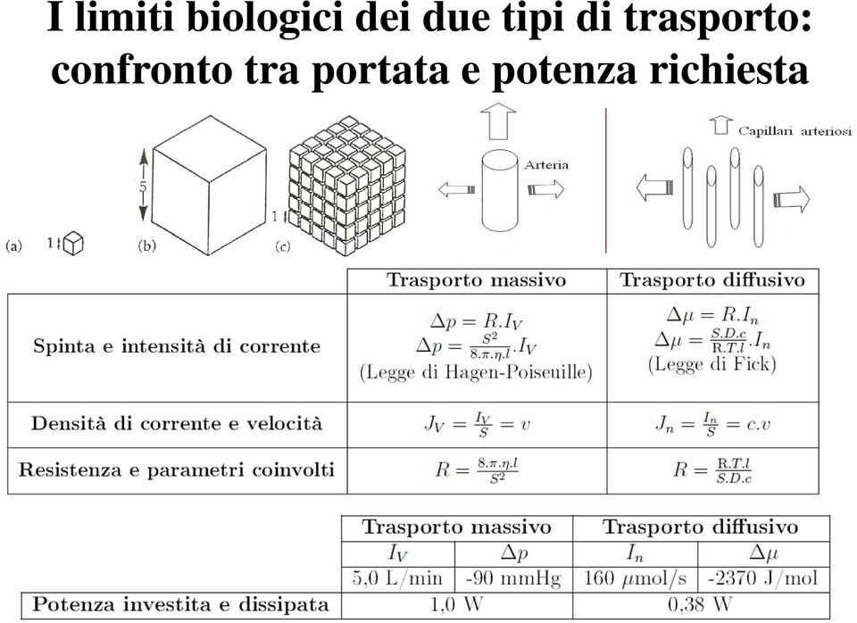 trasporto: confronto