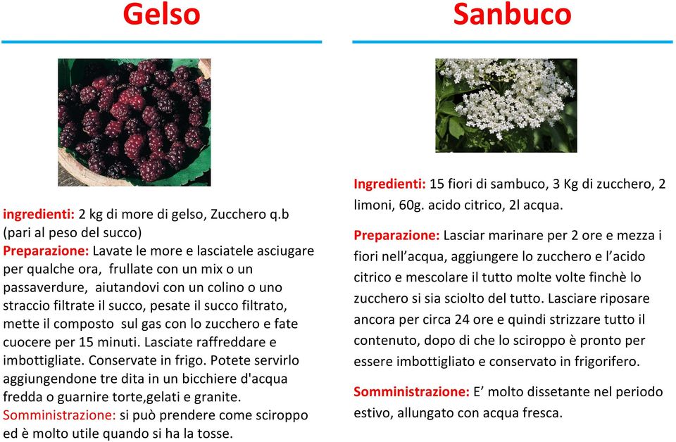 pesate il succo filtrato, mette il composto sul gas con lo zucchero e fate cuocere per 15 minuti. Lasciate raffreddare e imbottigliate. Conservate in frigo.