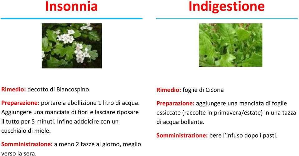 Somministrazione: almeno 2 tazze al giorno, meglio verso la sera.