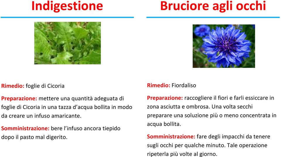 Rimedio: Fiordaliso Preparazione: raccogliere il fiori e farli essiccare in zona asciutta e ombrosa.