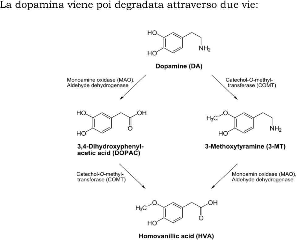 degradata