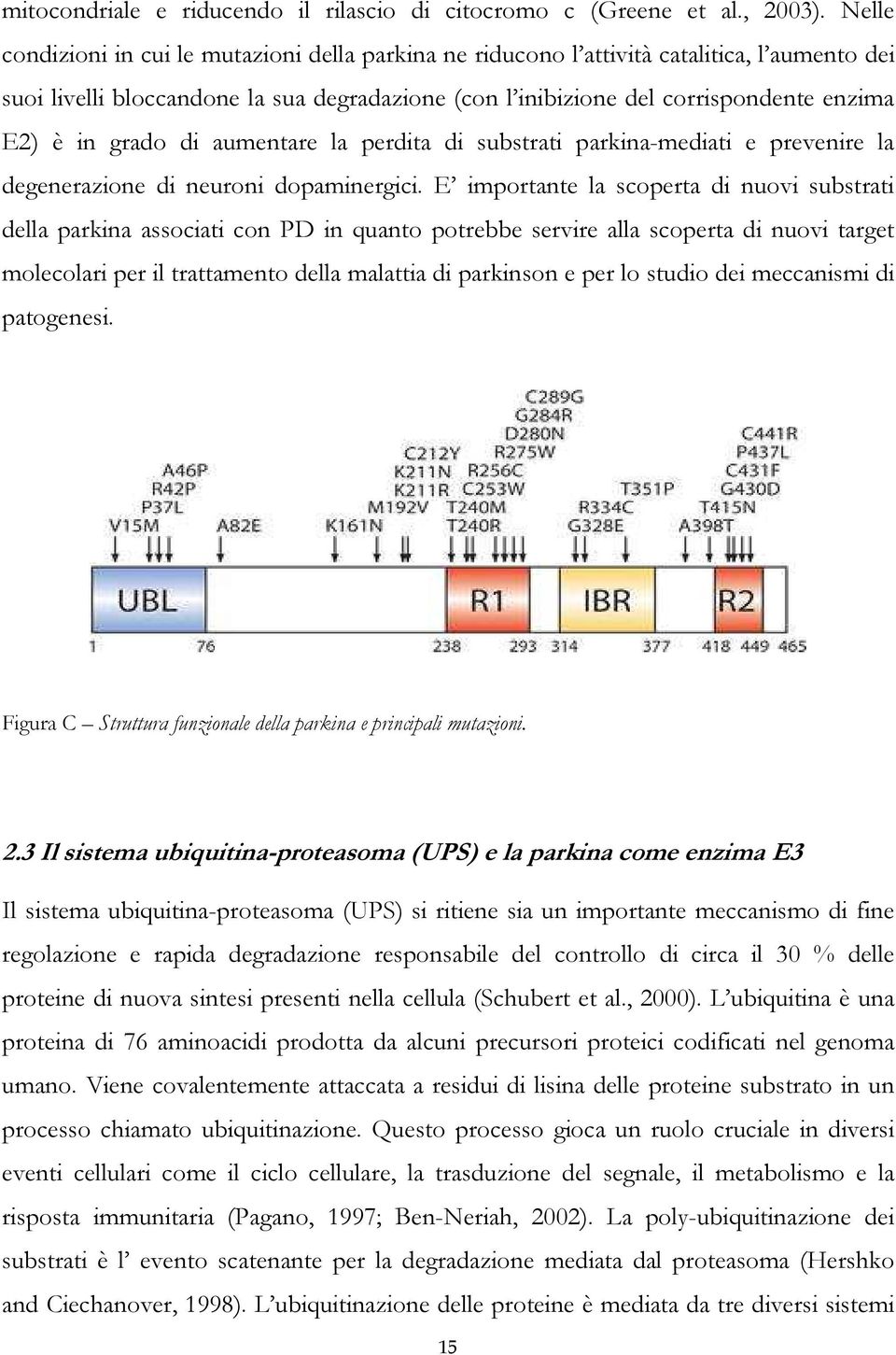 grado di aumentare la perdita di substrati parkina-mediati e prevenire la degenerazione di neuroni dopaminergici.