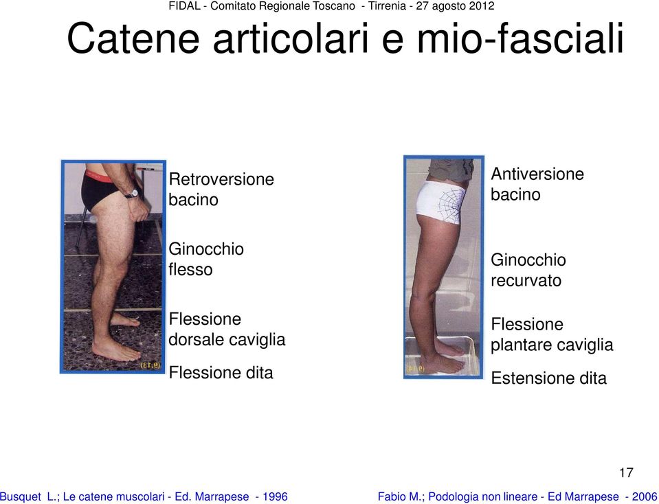 recurvato Flessione plantare caviglia Estensione dita 17 Busquet L.