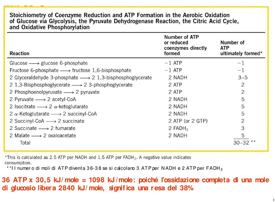 poiché l ossidazione completa di una mole di glucosio libera 2840