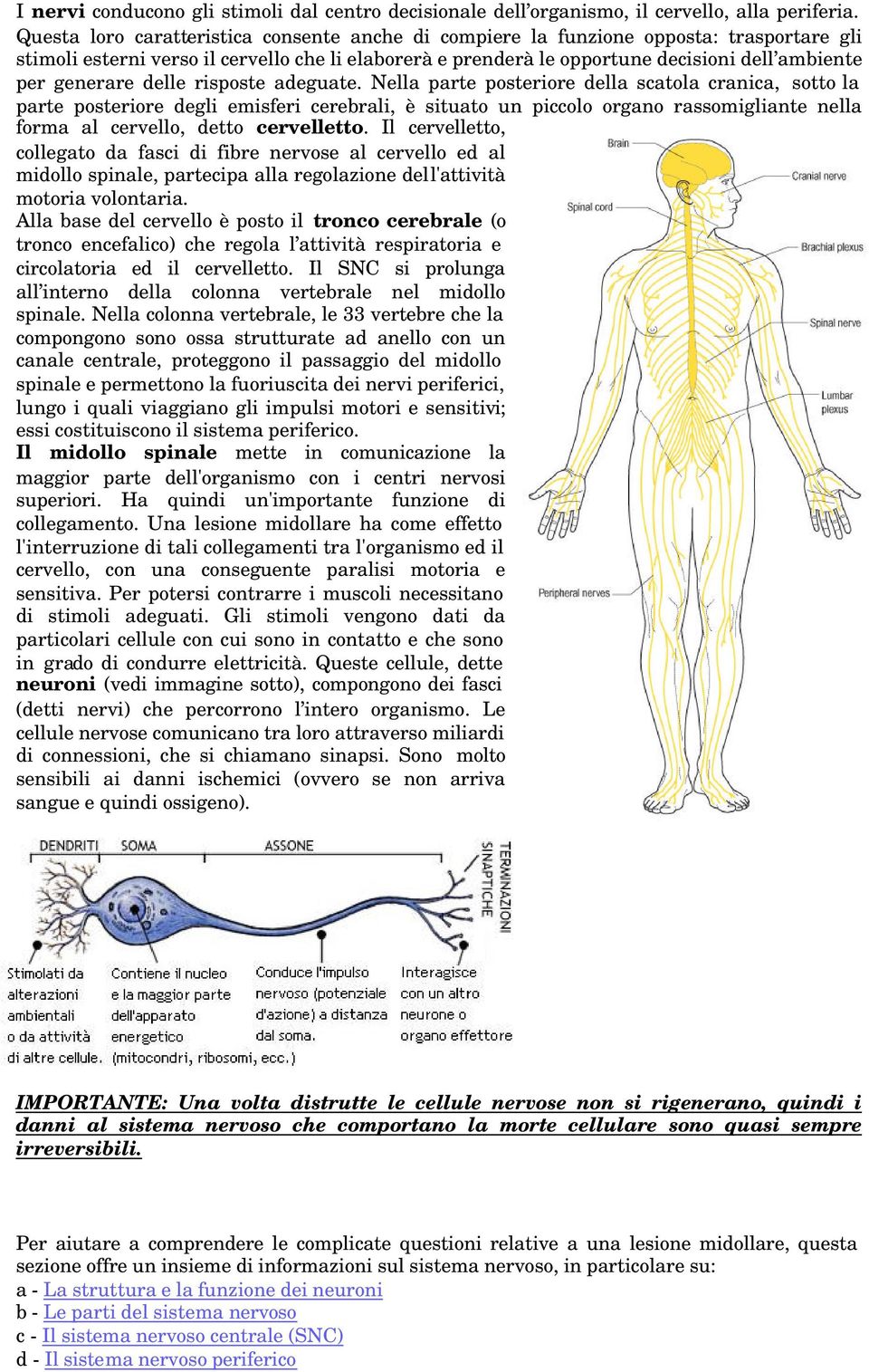 generare delle risposte adeguate.