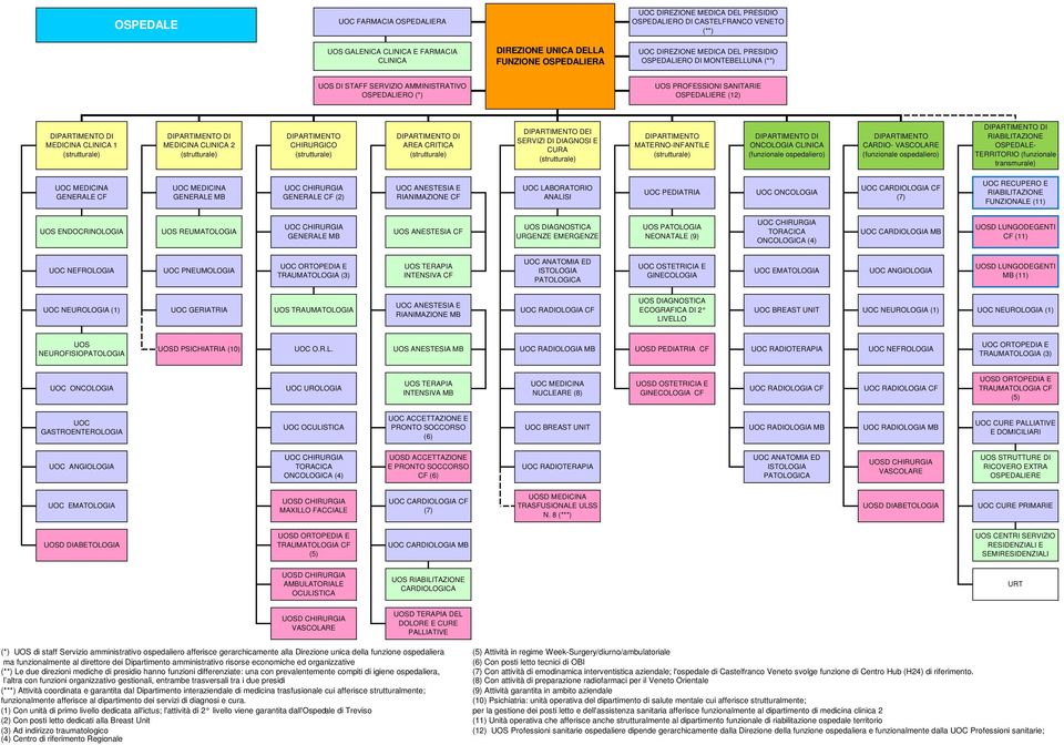 DIPARTIMENTO CHIRURGICO AREA CRITICA DIPARTIMENTO DEI SERVIZI DI DIAGNOSI E CURA DIPARTIMENTO MATERNO-INFANTILE ONCOLOGIA CLINICA (funzionale ospedaliero) DIPARTIMENTO CARDIO- VASCOLARE (funzionale