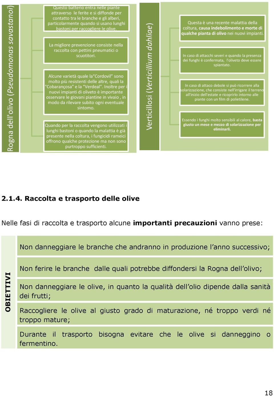 La migliore prevenzione consiste nella raccolta con pettini pneumatici o scuotitori. Alcune varietà quale la Cordovil sono molto più resistenti delle altre, quali la "Cobarançosa e la Verdeal.