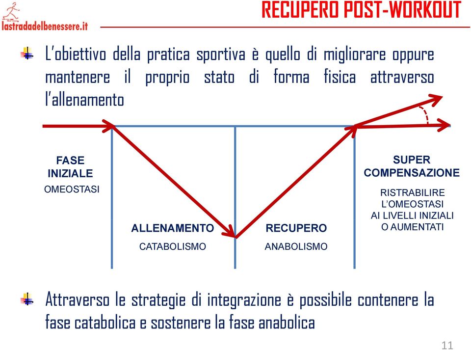 ALLENAMENTO RECUPERO RISTRABILIRE L OMEOSTASI AI LIVELLI INIZIALI O AUMENTATI CATABOLISMO ANABOLISMO