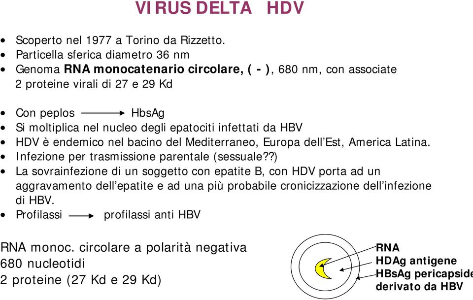 degli epatociti infettati da HBV HDV è endemico nel bacino del Mediterraneo, Europa dell Est, America Latina. Infezione per trasmissione parentale (sessuale?