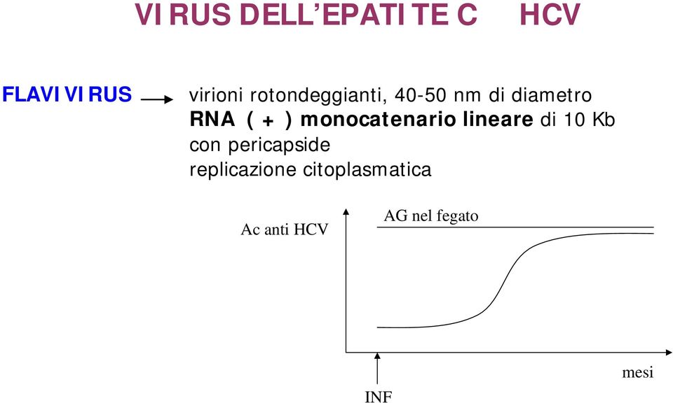 monocatenario lineare di 10 Kb con pericapside