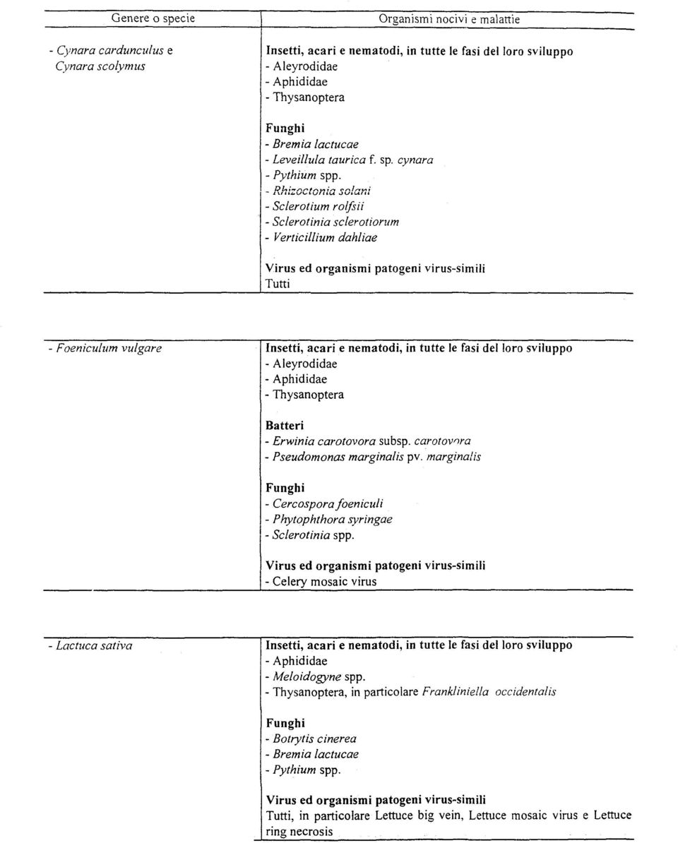 Thysanoptera - Erwinia carotovora subsp. carotovora - Pseudomonas marginalis pv. marginalis - Cercosporafoeniculi - Phytophthora syringae - Sclerotinia spp.