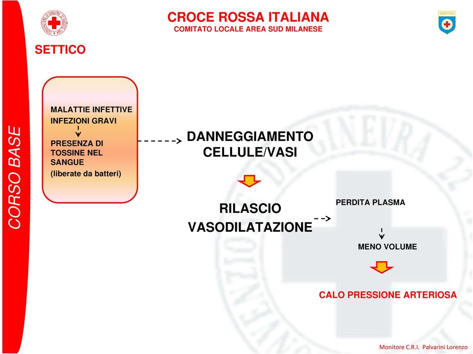 batteri) DANNEGGIAMENTO CELLULE/VASI RILASCIO