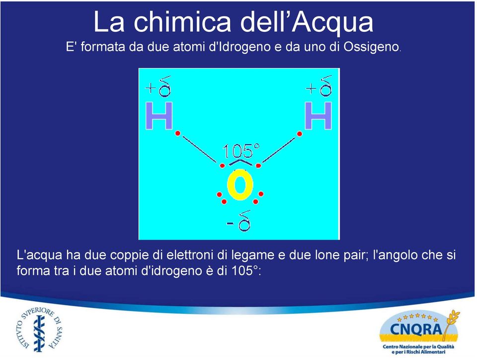 L'acqua ha due coppie di elettroni di legame e