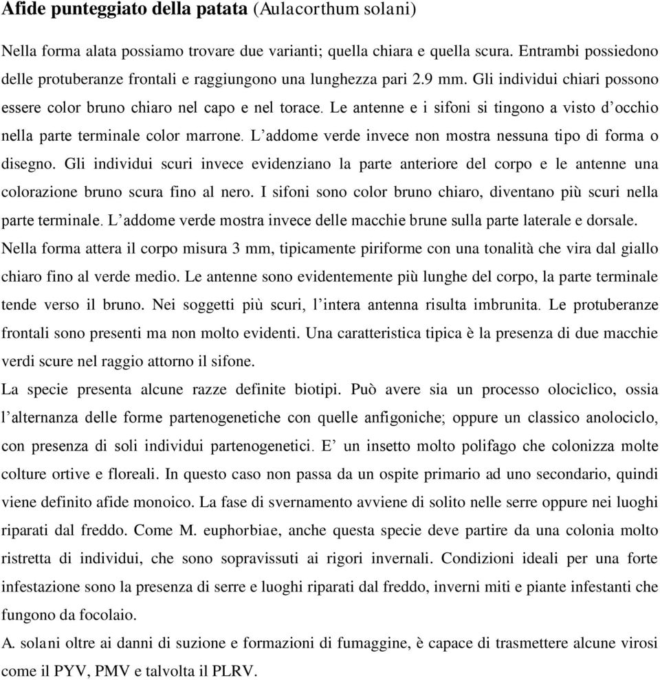 Le antenne e i sifoni si tingono a visto d occhio nella parte terminale color marrone. L addome verde invece non mostra nessuna tipo di forma o disegno.