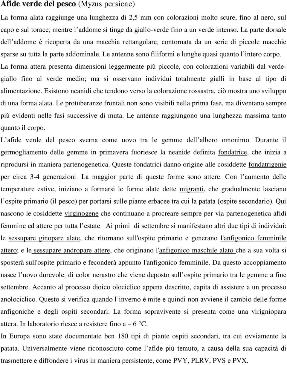 Le antenne sono filiformi e lunghe quasi quanto l intero corpo.